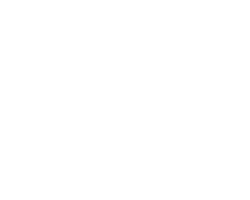 willollie Logo